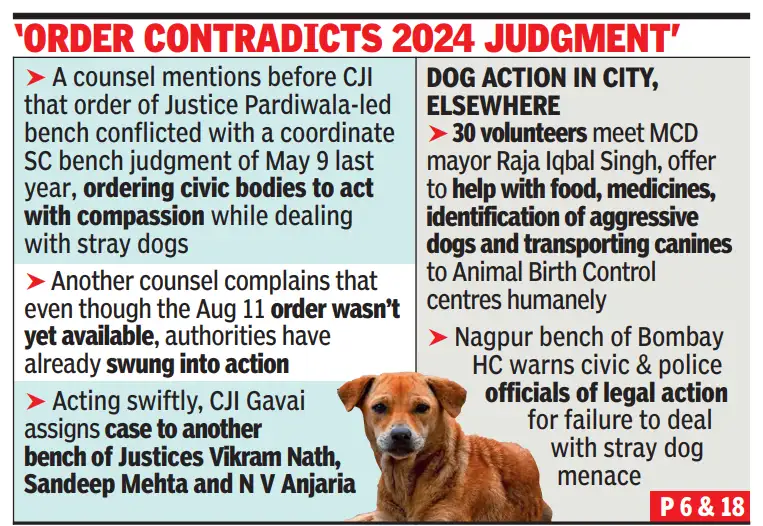 Order contradicts 2024 judgement