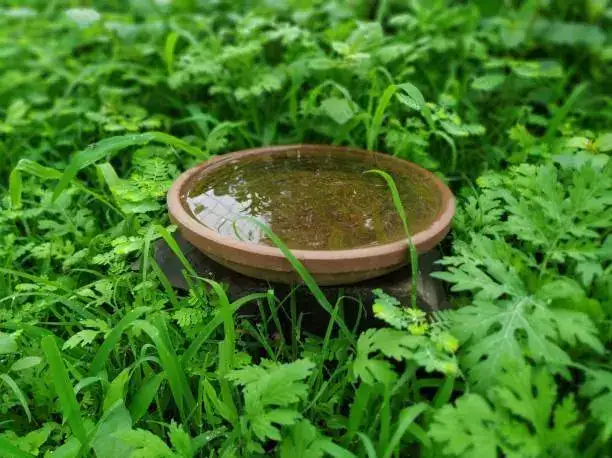 ISTOCKPHOTO-2175182303-612X612