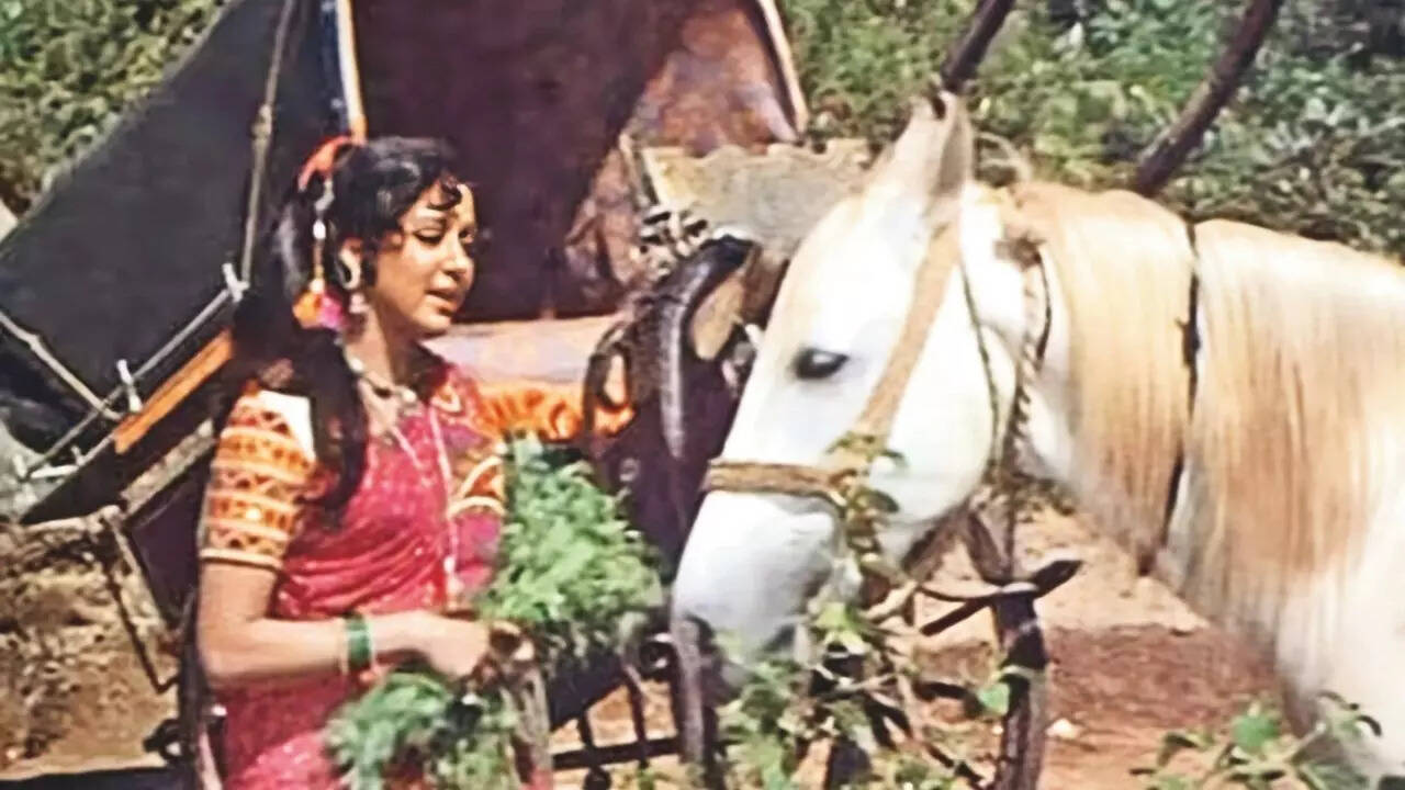 Basanti Dhanno