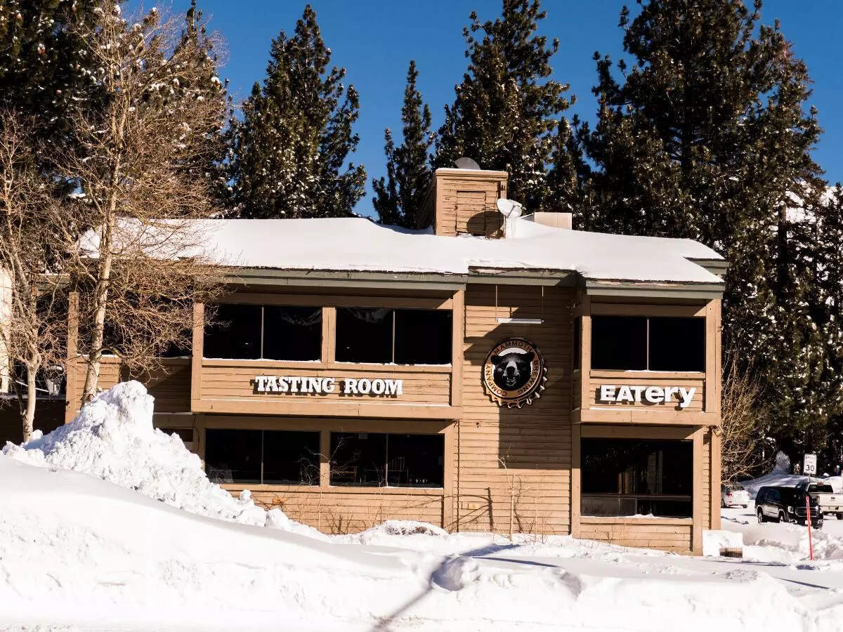 Mammoth Brewing Company