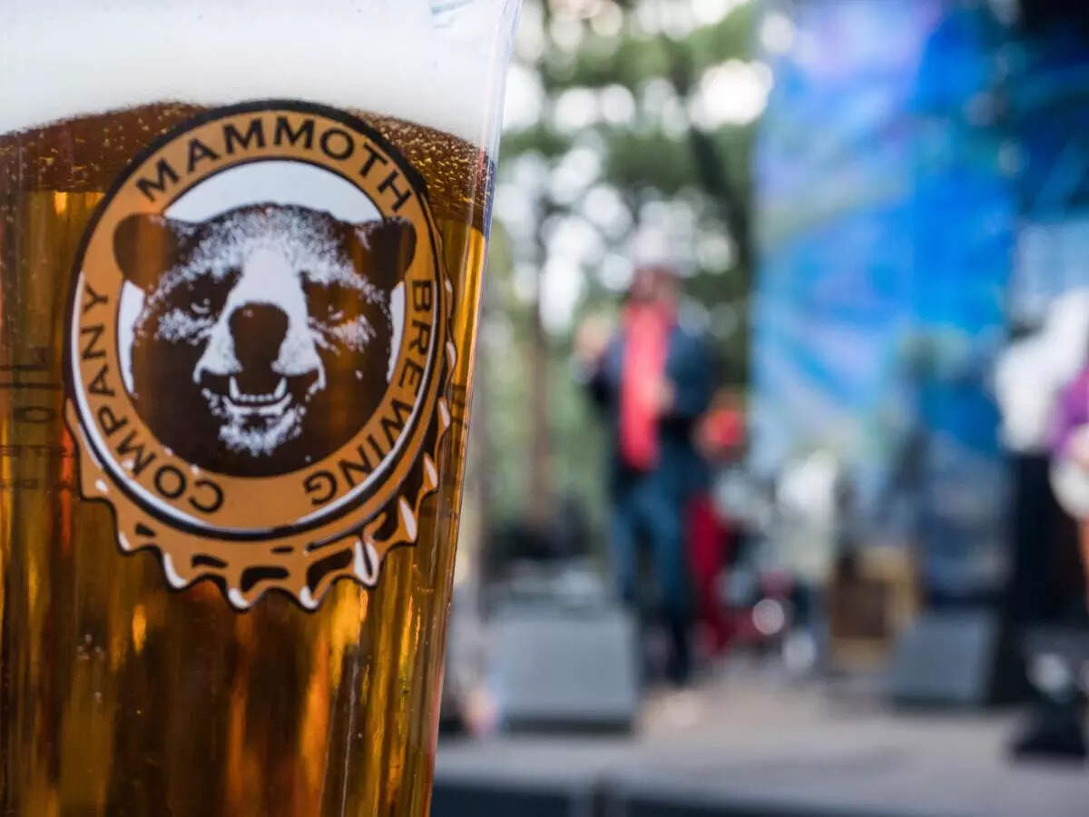 Mammoth Brewing Company