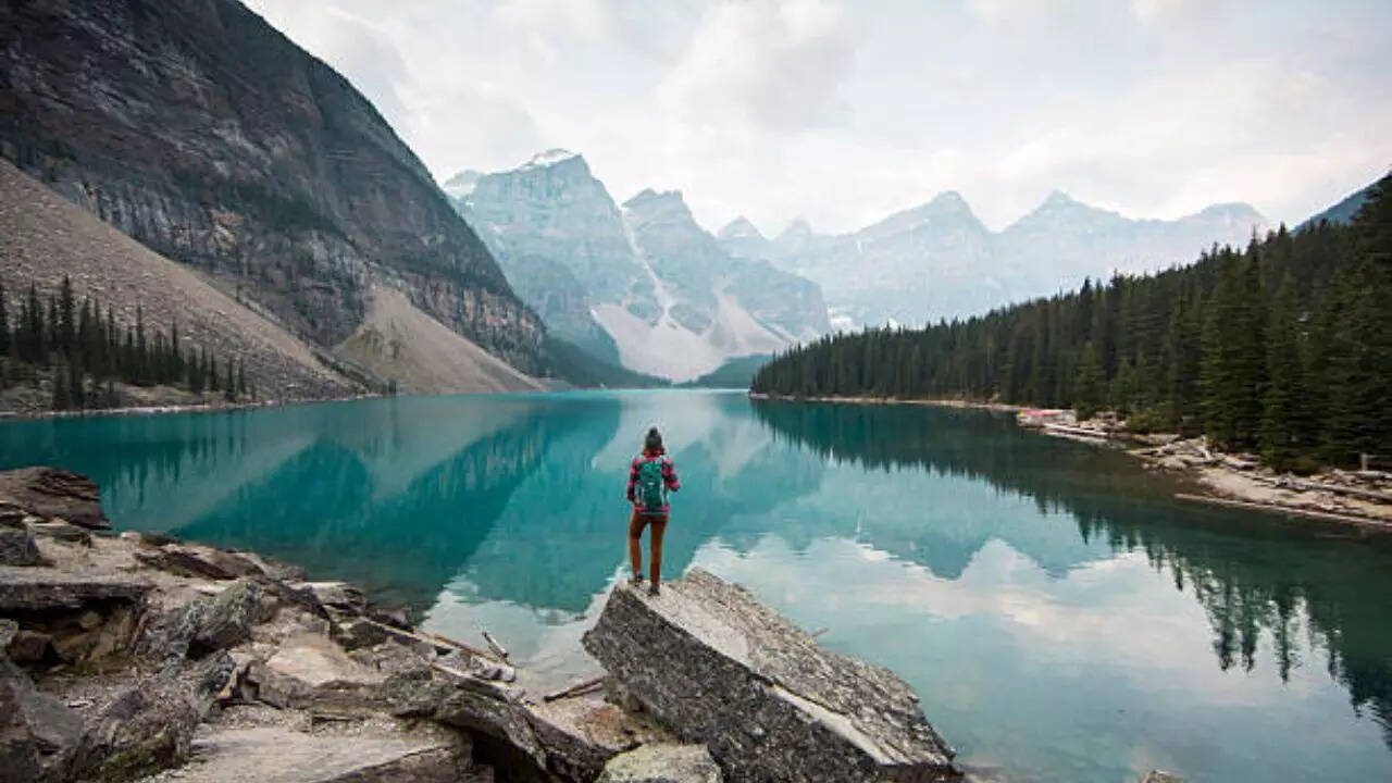 Image credits: Getty Images Canada