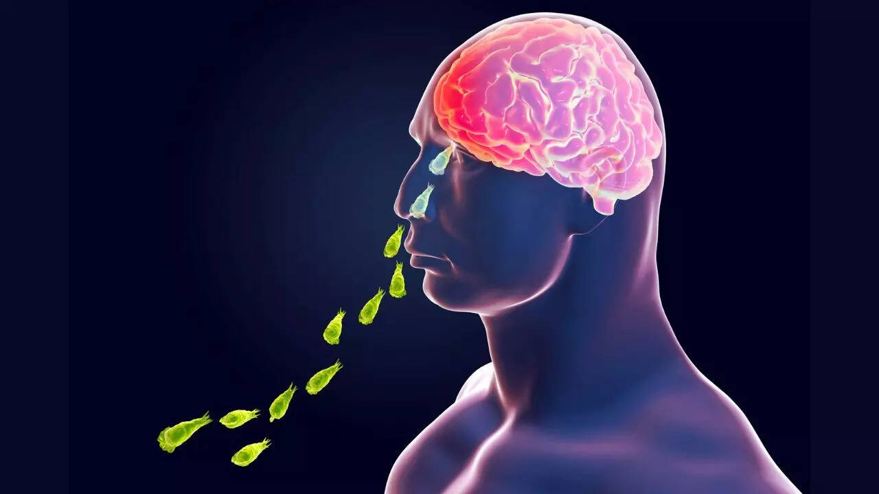 Brain eating amoeba