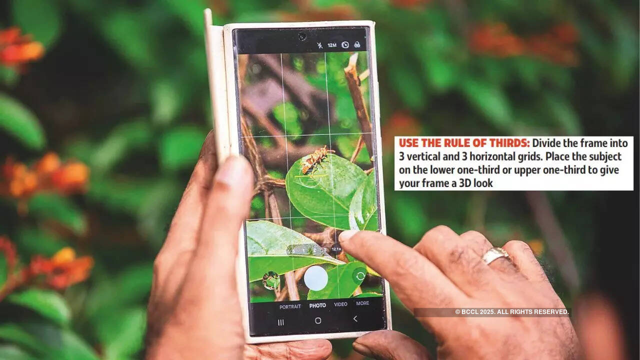 Mobile photography lets amateurs join photo walks and learn