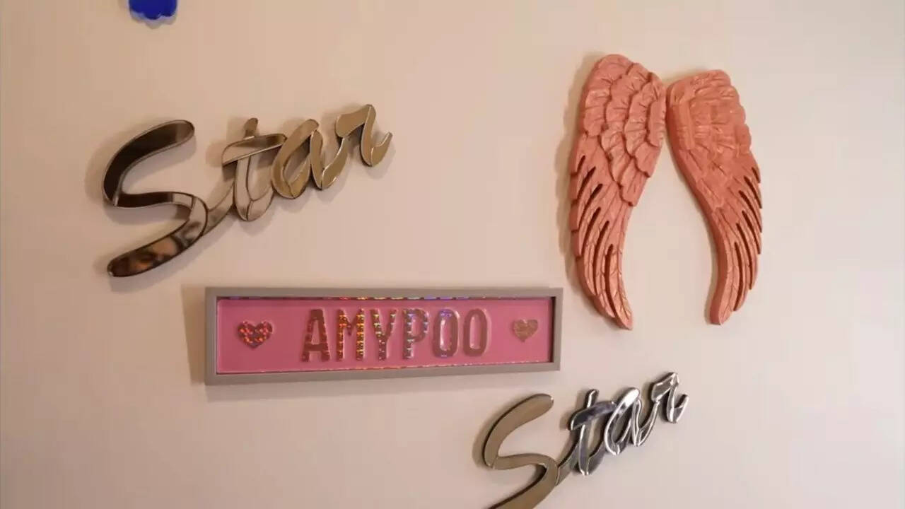 Ameesha Patel’s home
