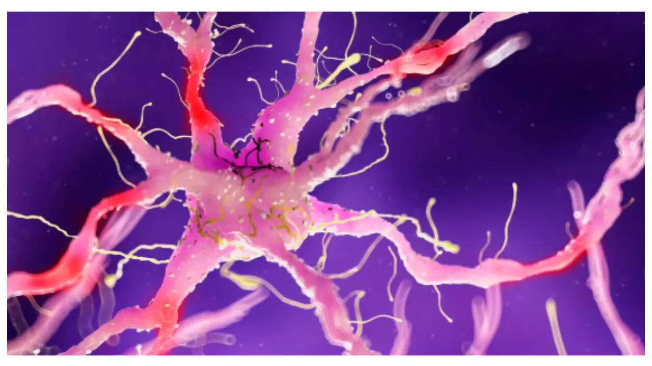 TOI) Brain breaks refresh the mind and improves concentration in pre-schoolers