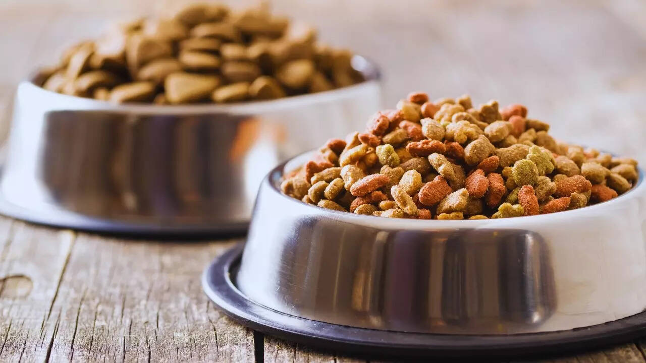 Pack essential pet supplies