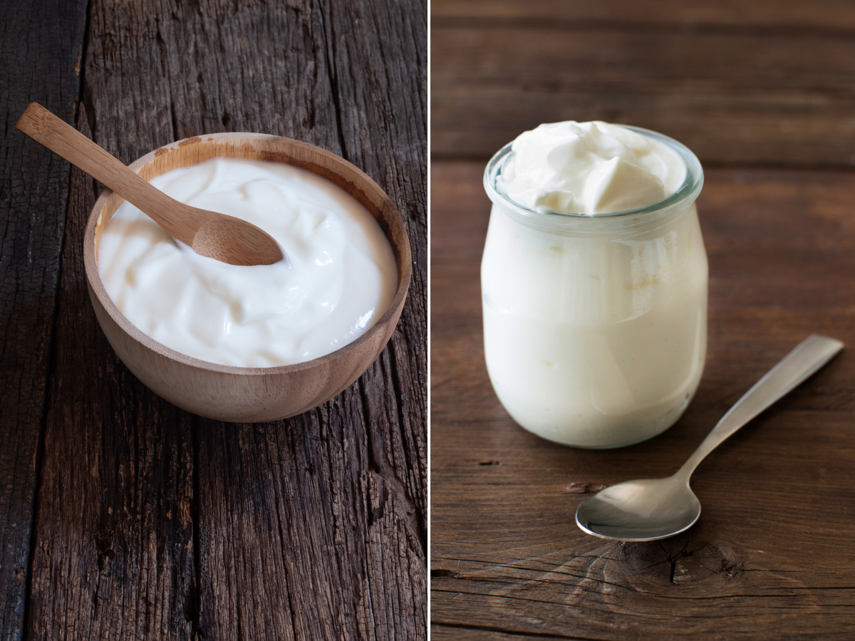 ​Yogurt and Greek yogurt