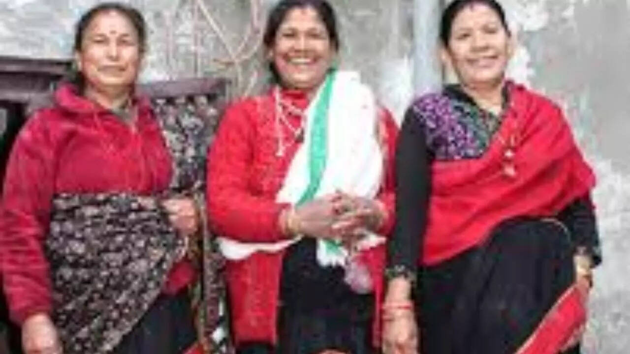 Haku Patasi