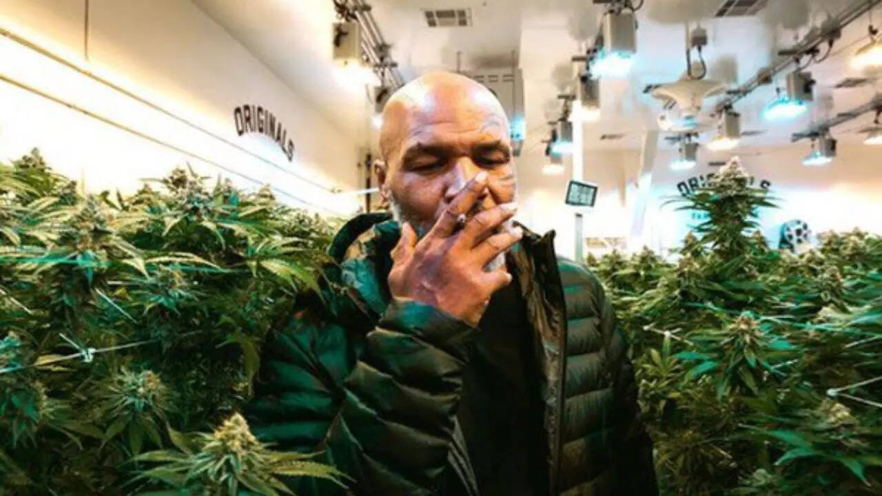 Business in cannabis