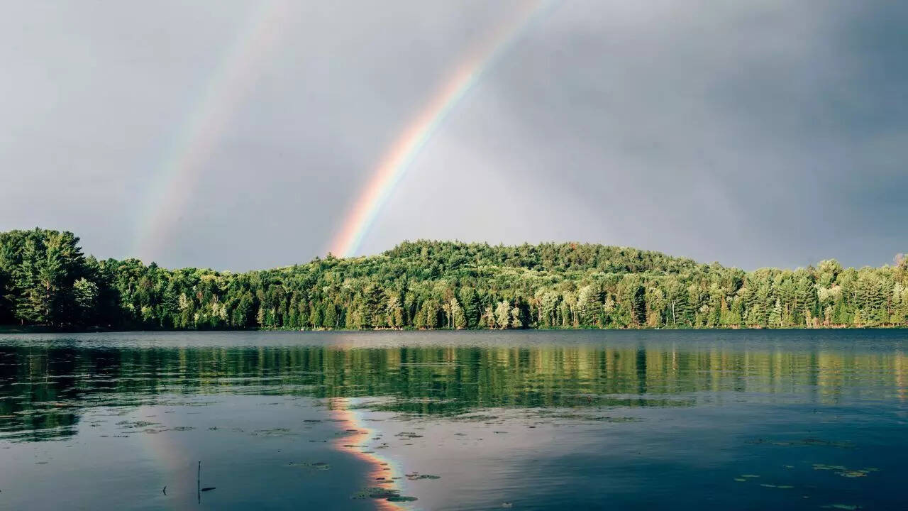 Rainbow - Representative (Via Canva)