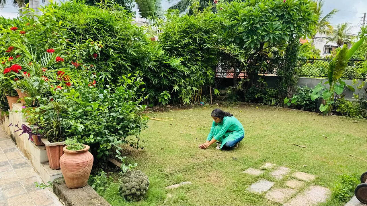 Shweta remembers the dogs she lost
