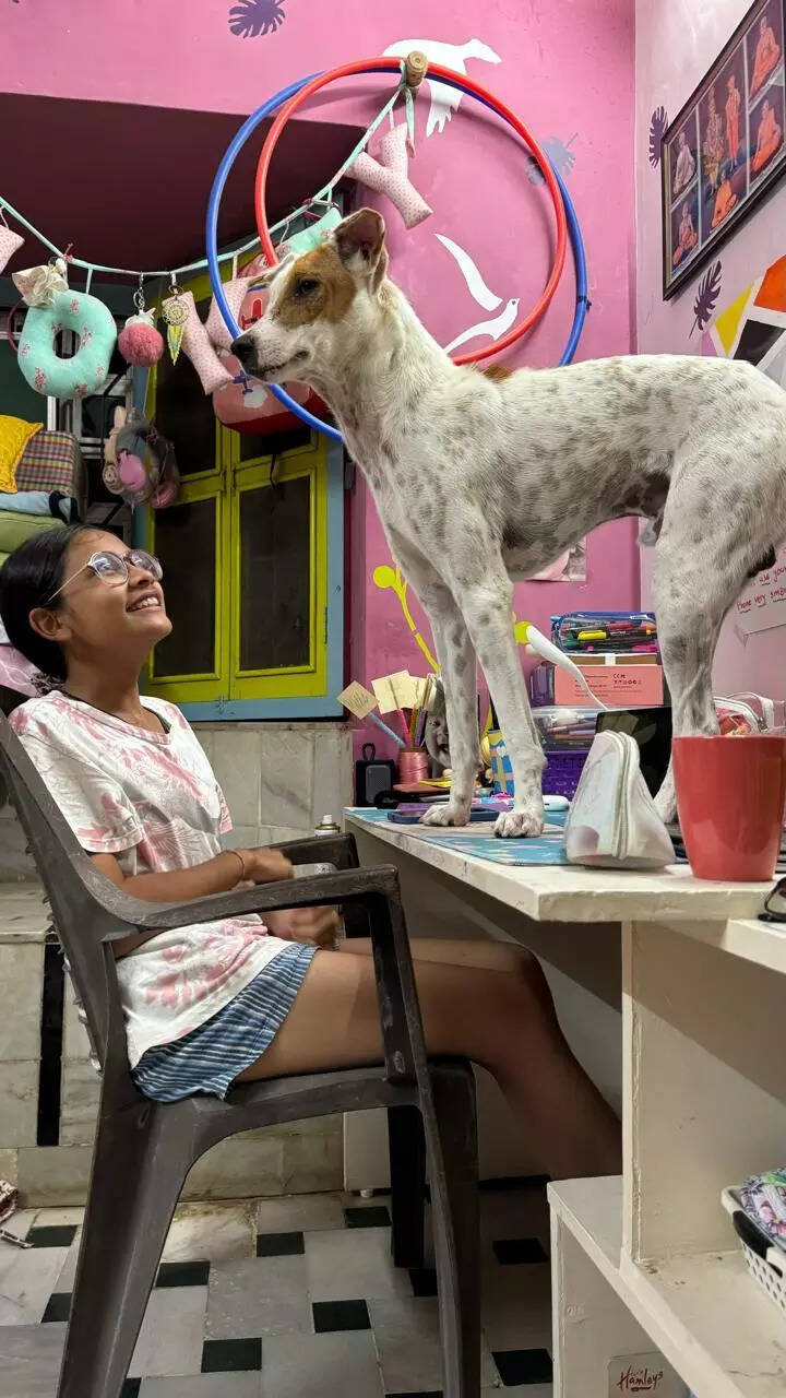 Raagaa video calls every day to greet her dogs