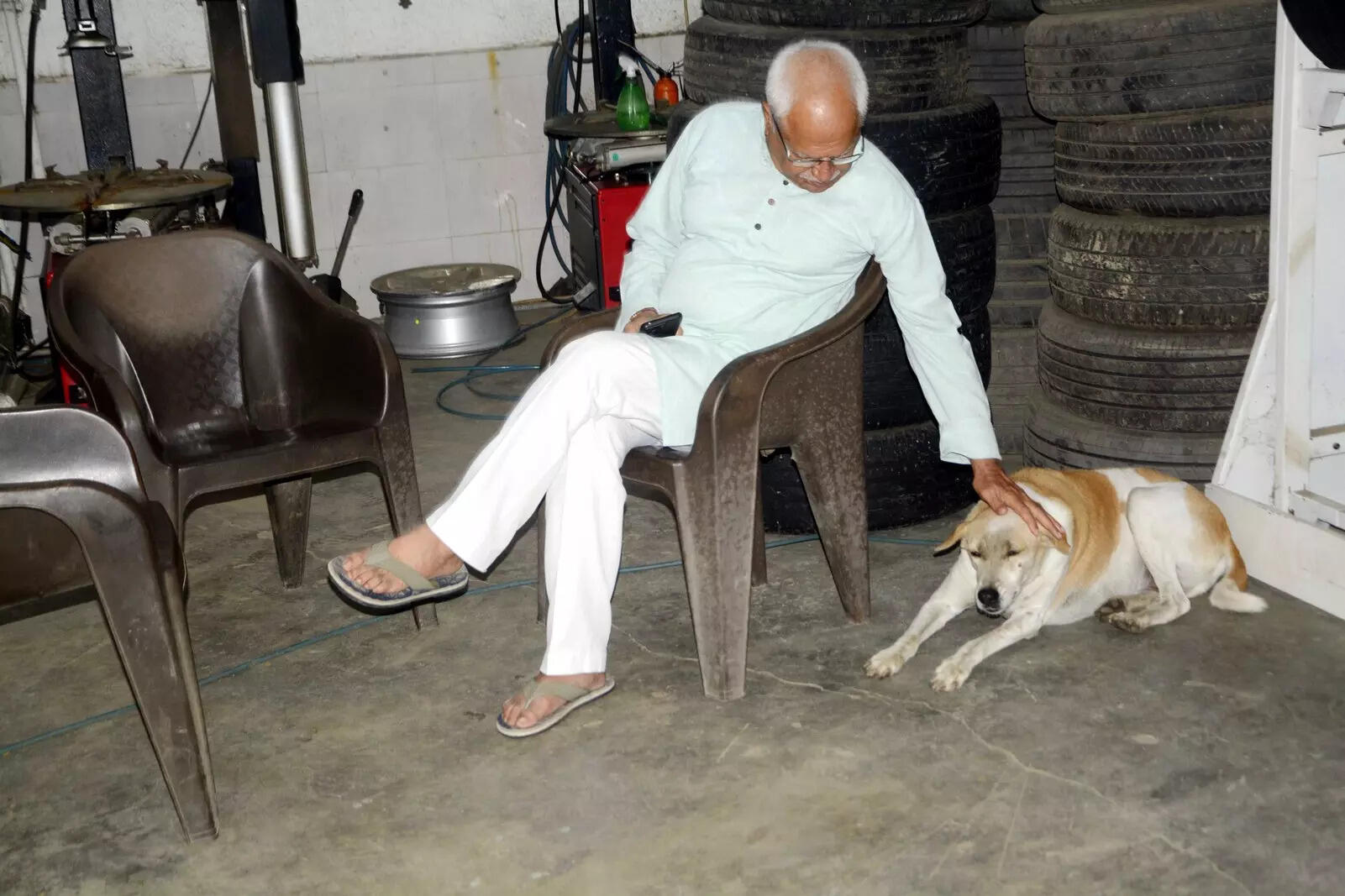Vaide Vagh, 69, pets a stray in his tyre showroom