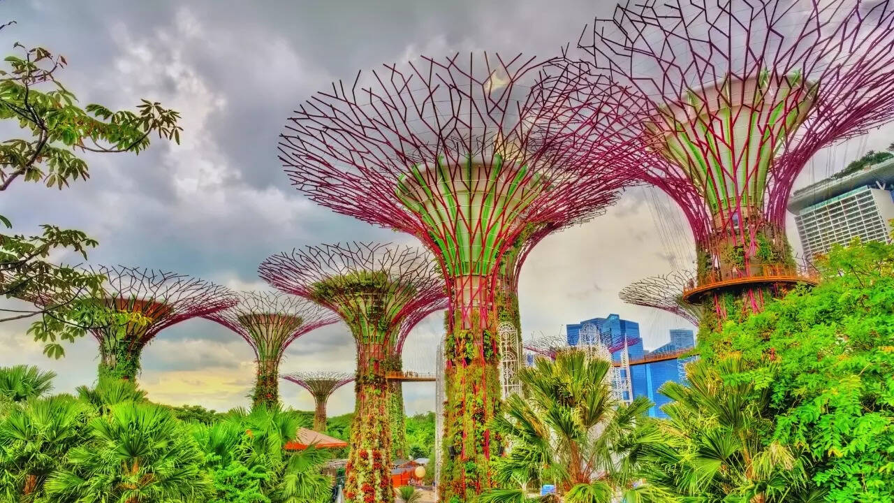 Gardens by the Bay