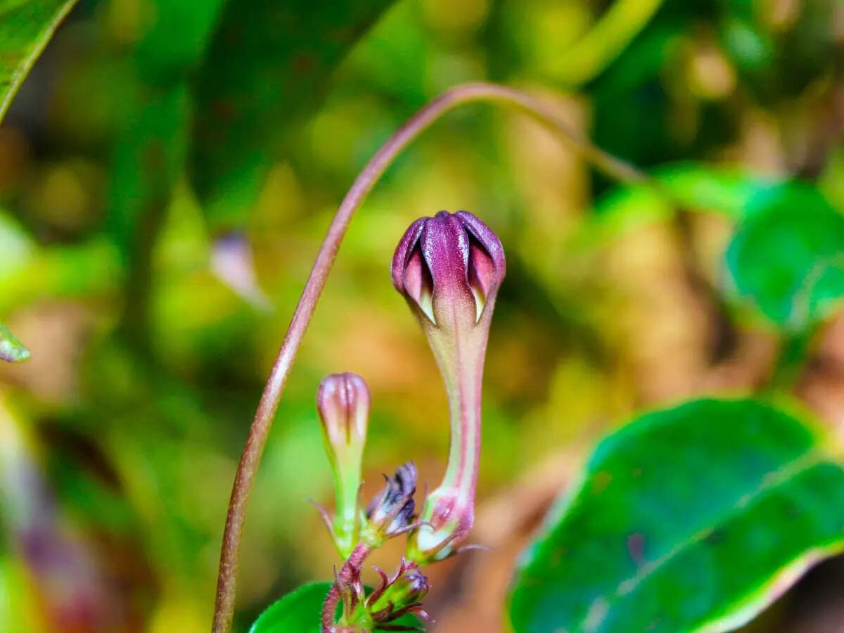 மின் நேரங்கள்