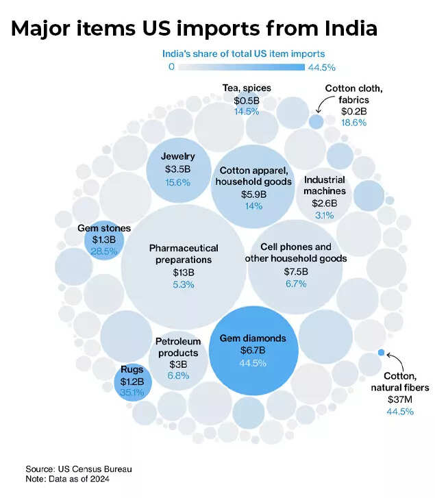 Major items US imports from India Major items US imports from India