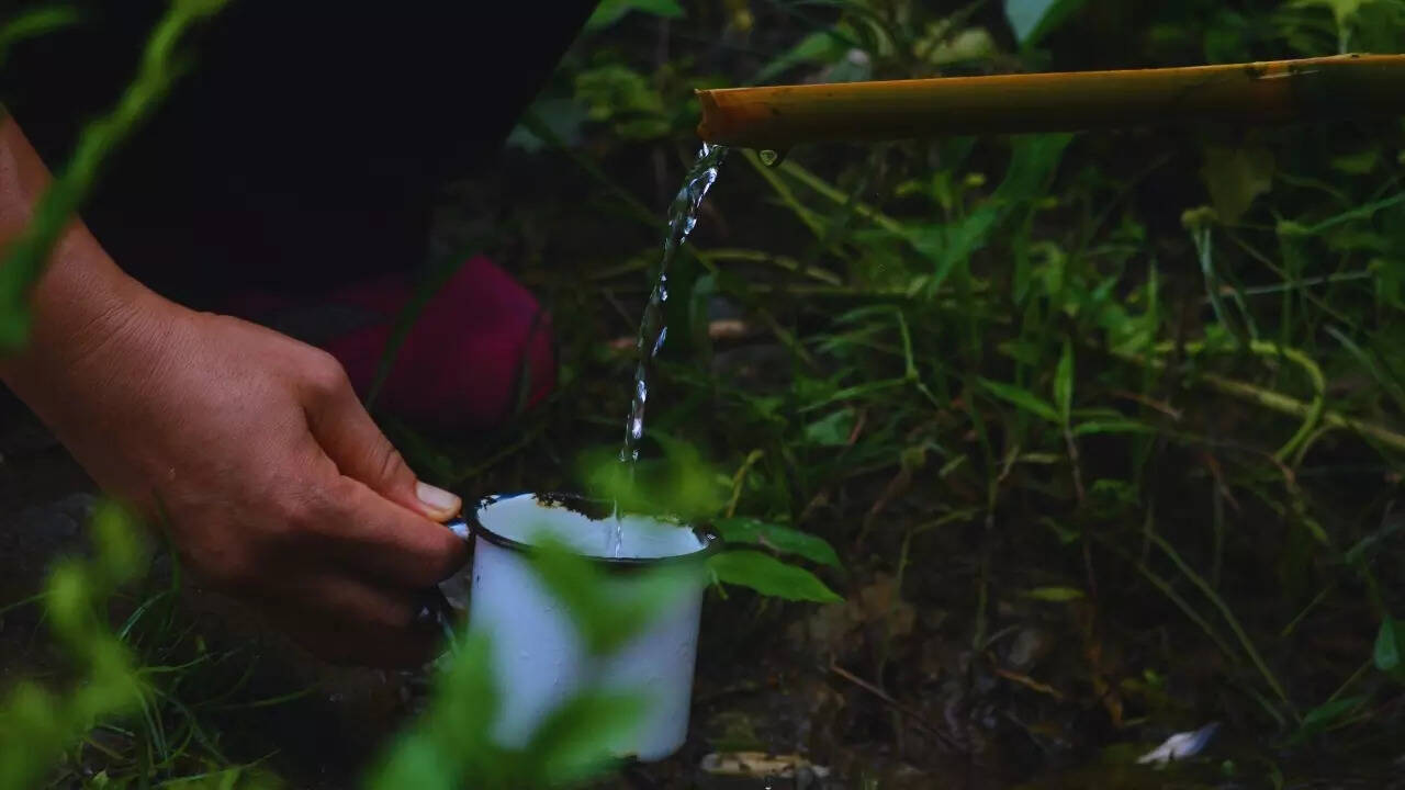 Nature in Mizoram