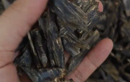Agarwood (Photo: X)