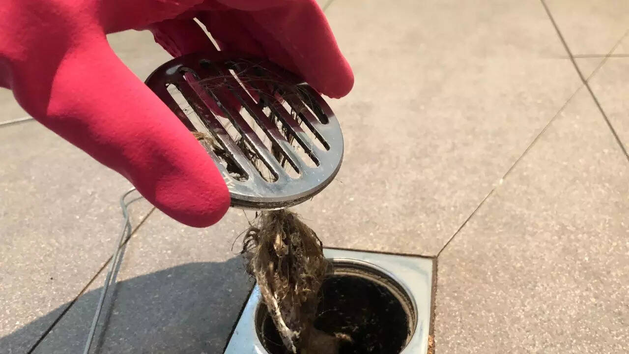 5 practical tips to get rid of bathroom drain flies