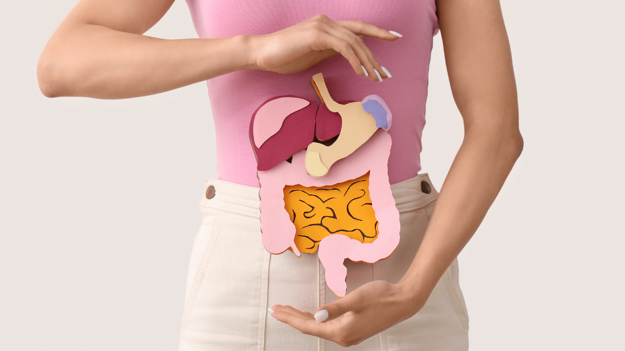 Improved digestion through calming the gut