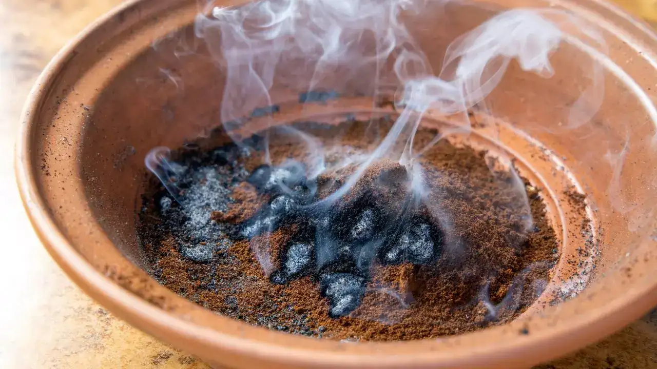 Coffee grounds for mosquito control: Simple, natural, and eco-friendly uses