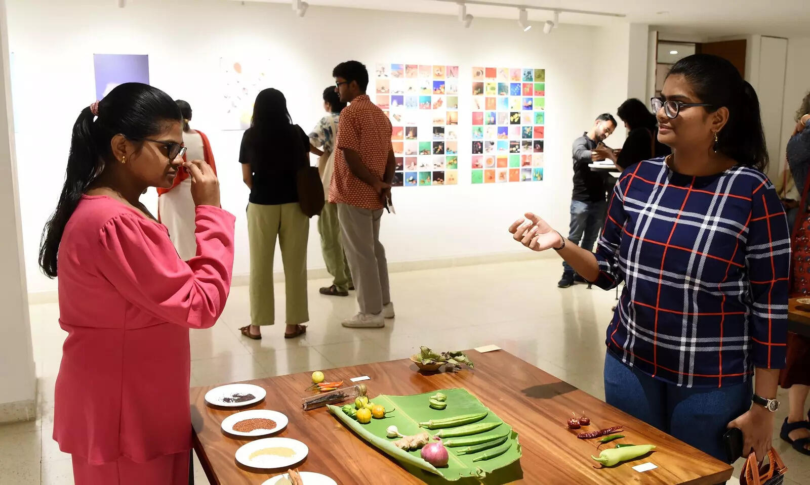 Visual Ency of Indian Food (6)