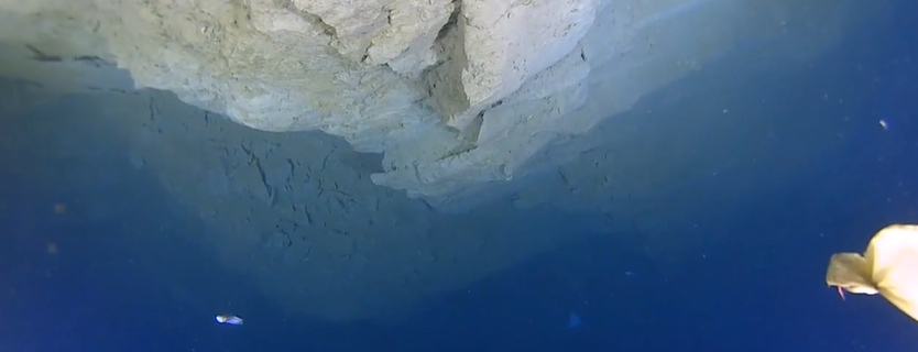 Deep near the trench in Japan (Photo: JAMSEC)