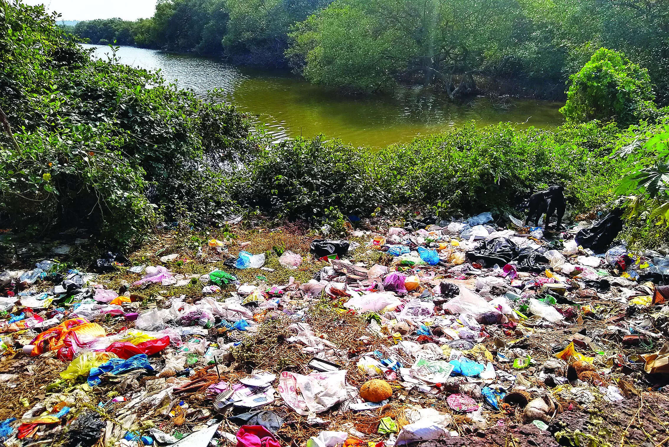 CCP looks to get more areas under its 16-way waste plan