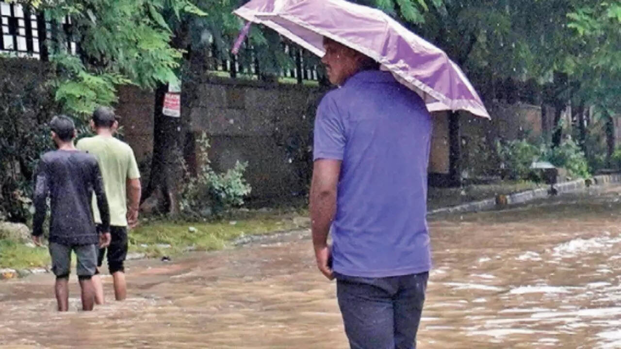 Jalgaon floods spark viral outrage online