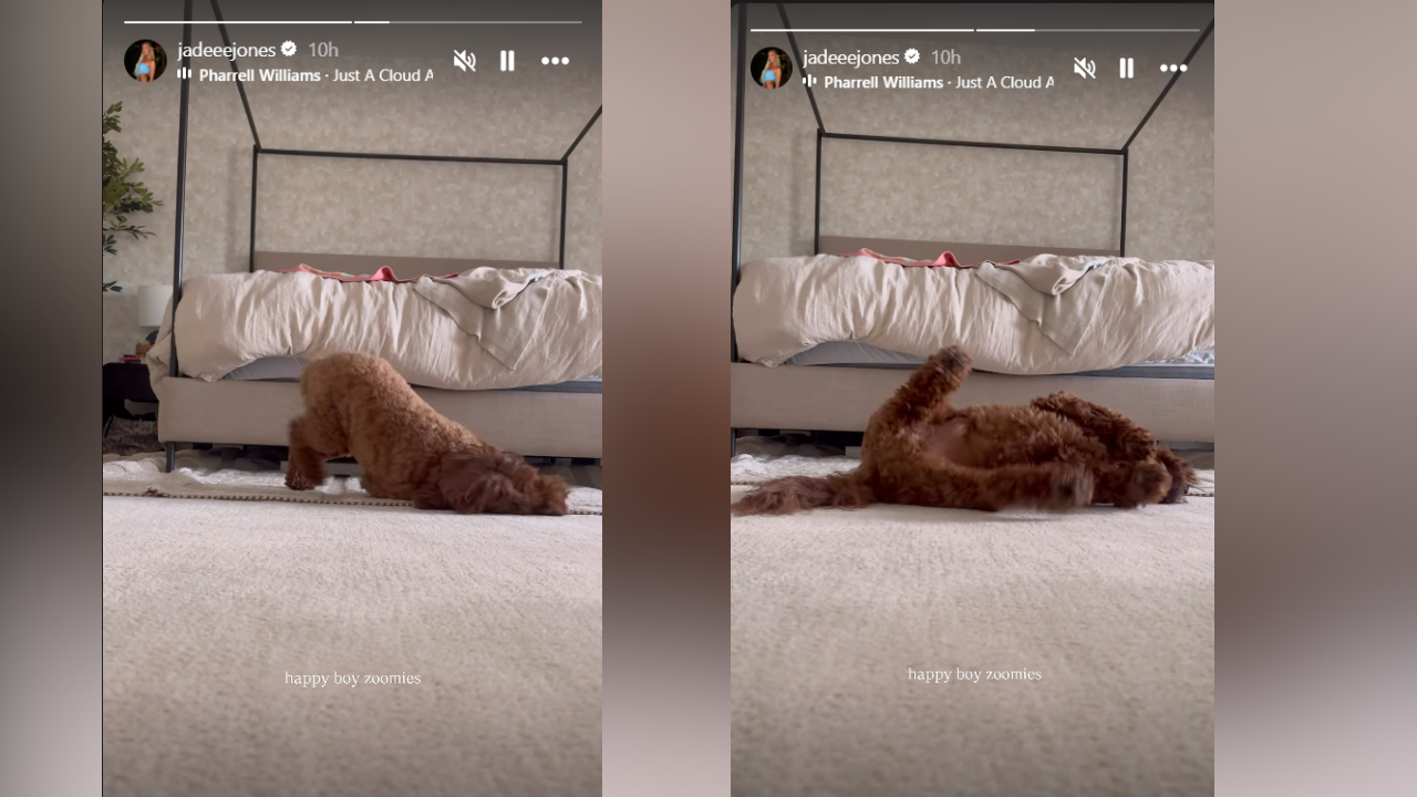 Jade Jones shares video clip of pet dog's activity