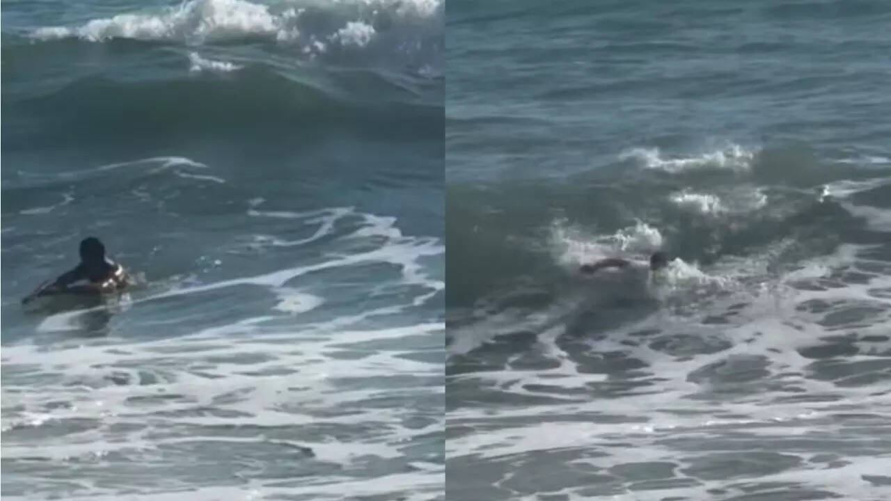 Klay Thompson goes swimming in the sea