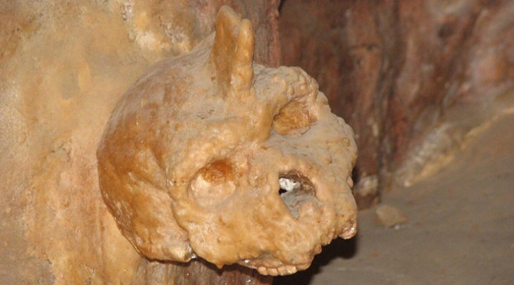 ‘Petralona man’ fossil (Photo: Histcontent via X)