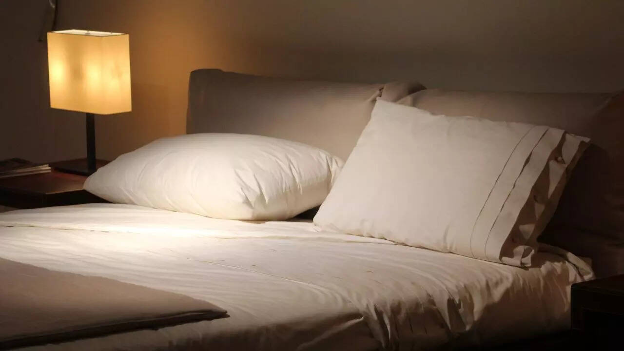 Preventing bed bugs from coming back