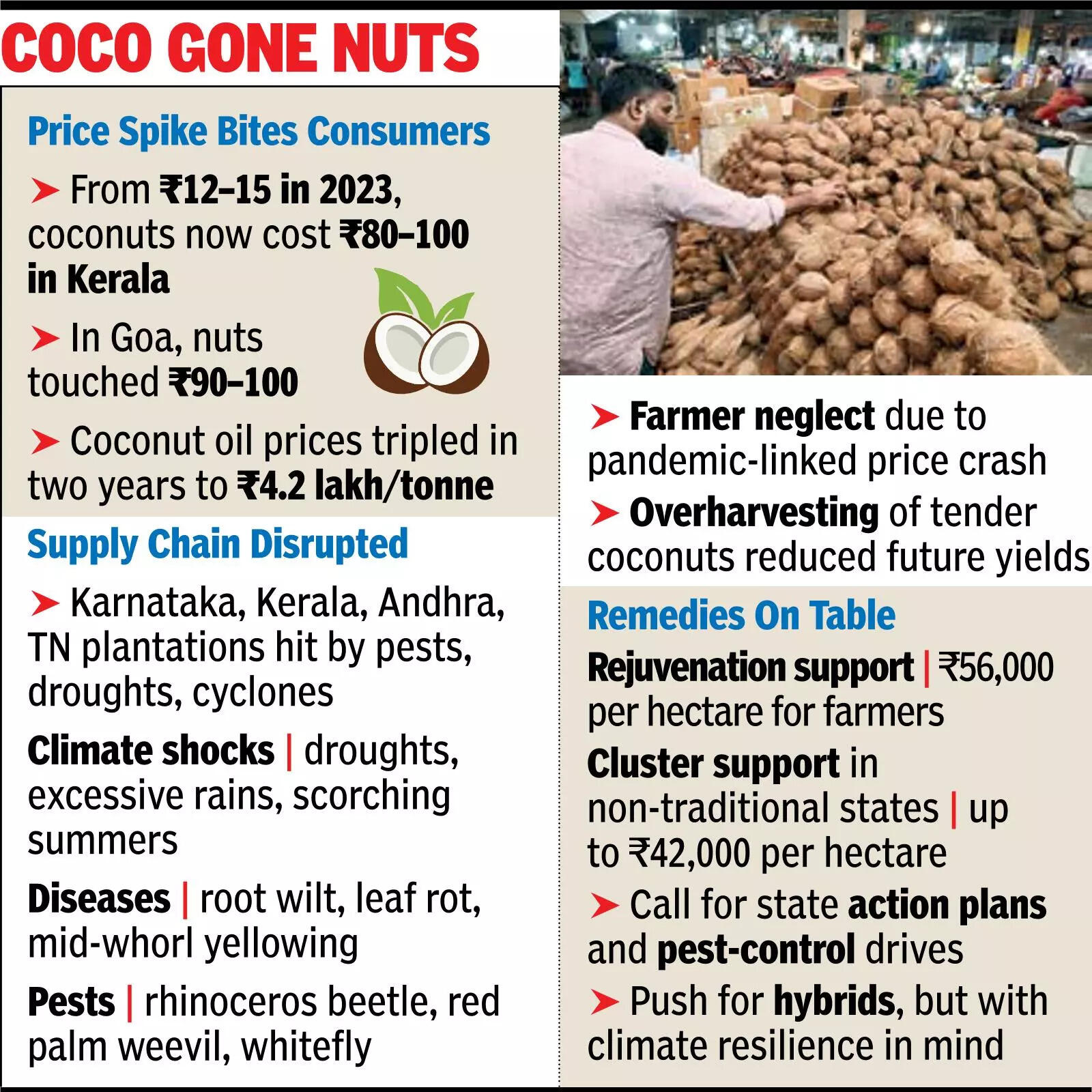 Coconut prices shoot up in south amid Onam, Ganesh Chaturthi celebrations