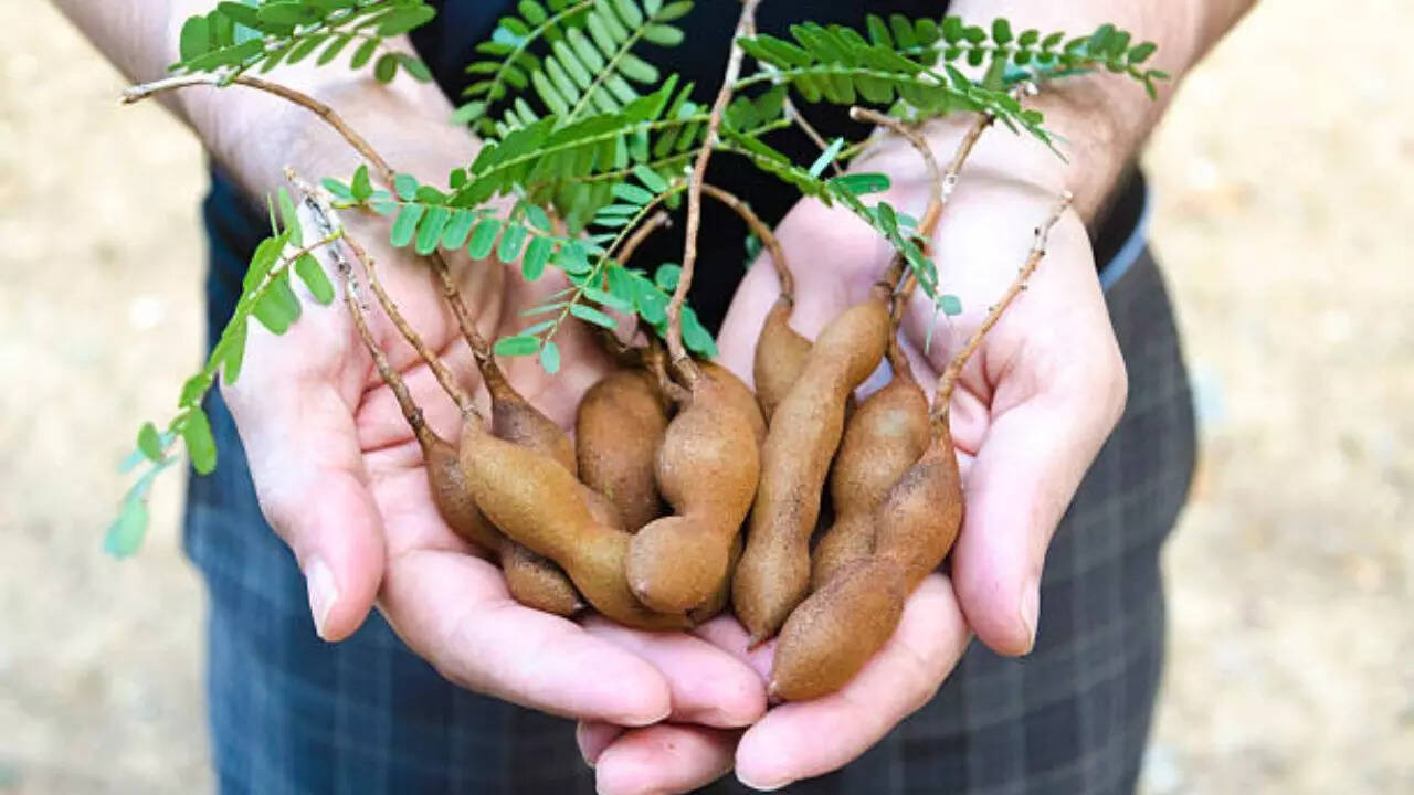 Tamarind