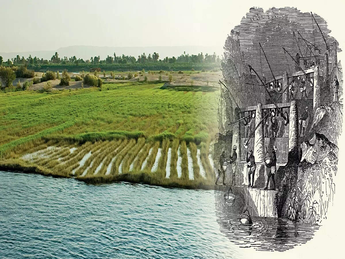 An archive of water: Egyptian cotton along the Nile (L) grew from irrigation systems (R) which needed precise knowledge of weather and terrain