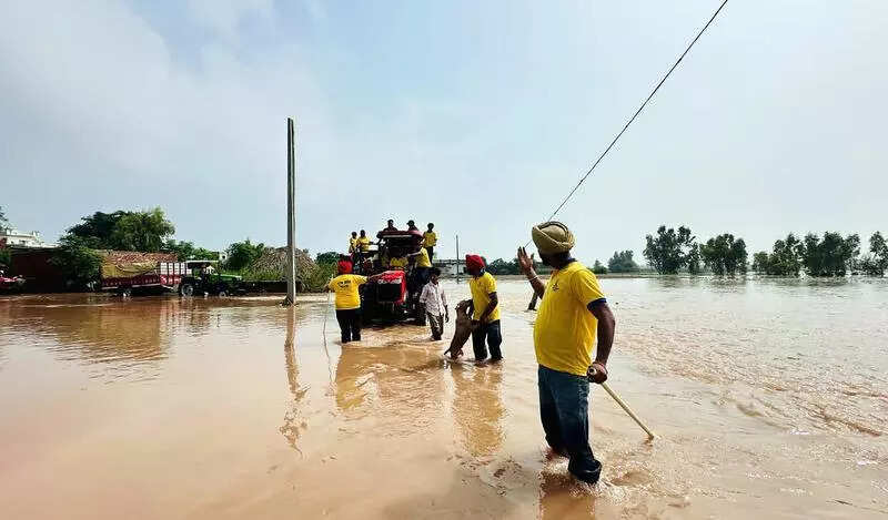 Rain hampers flood relief work in Ferozepur, Fazilka
