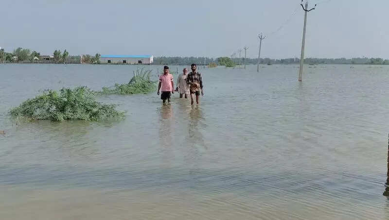 Sarjana village in Fazilka cut off by rainwater for four days