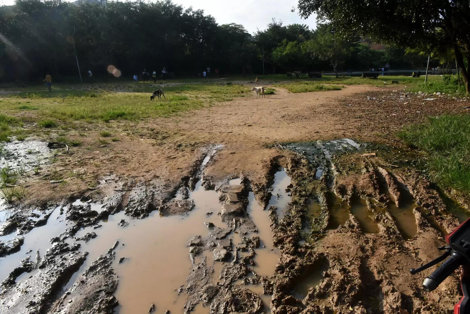 Inside Vivekananda Park