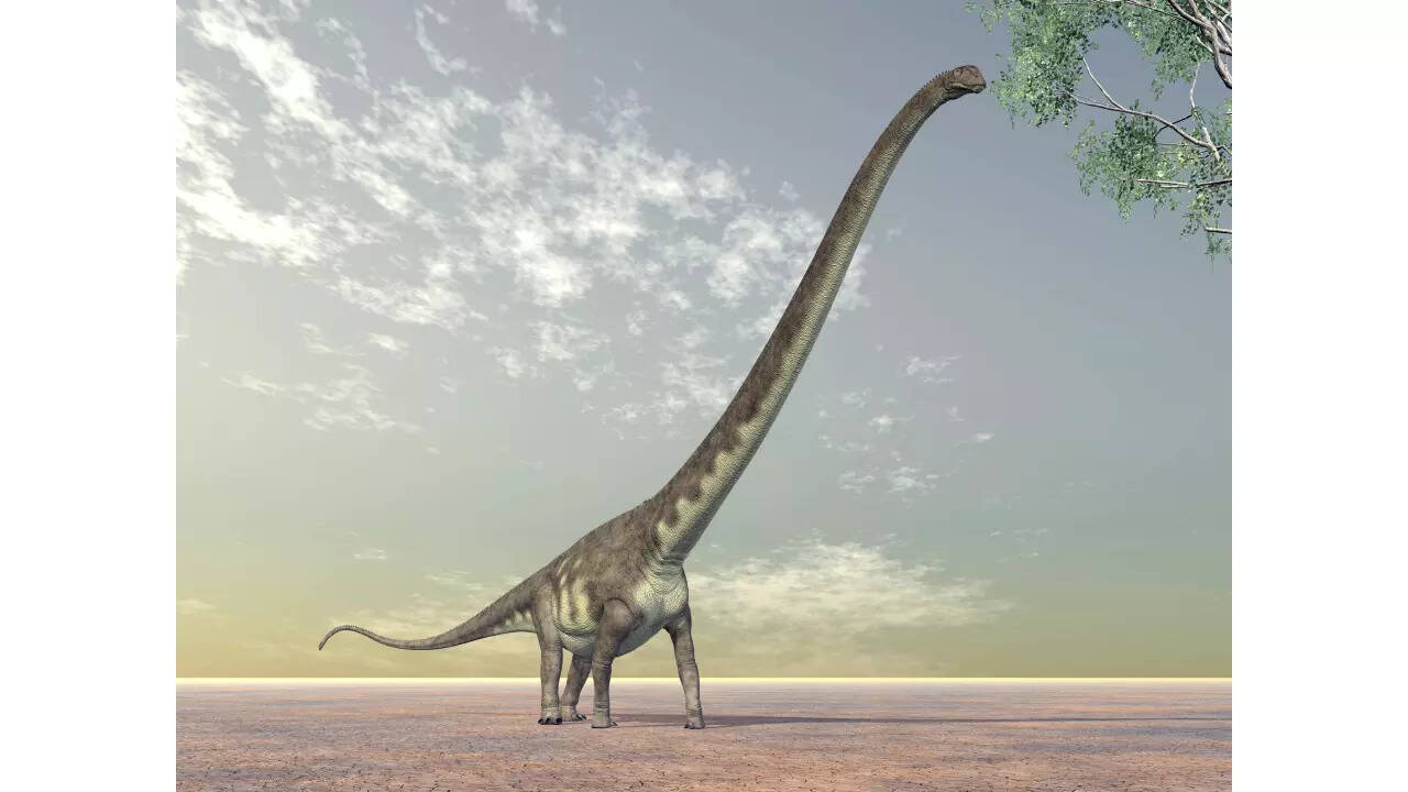 Computer generated 3D illustration with the Dinosaur Mamenchisaurus