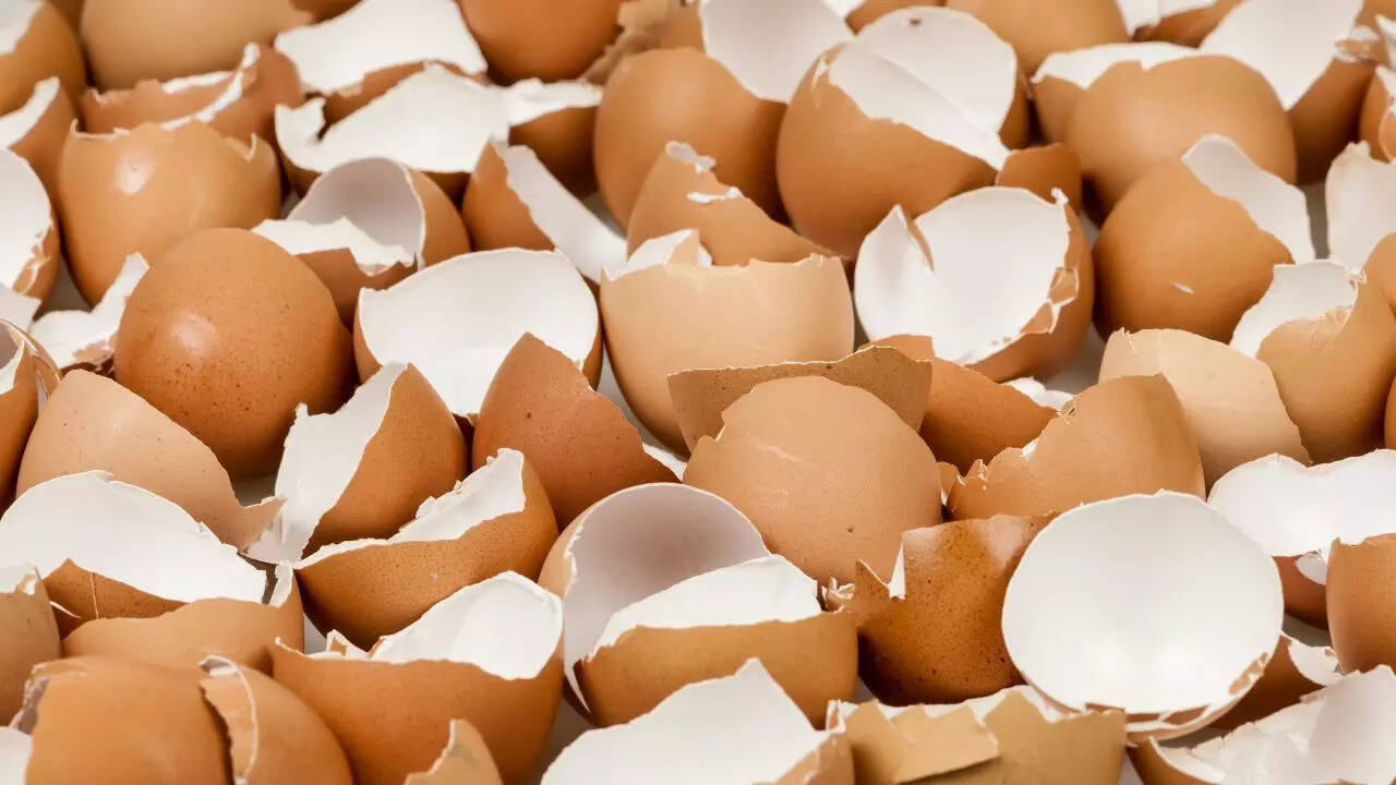 Eggshells