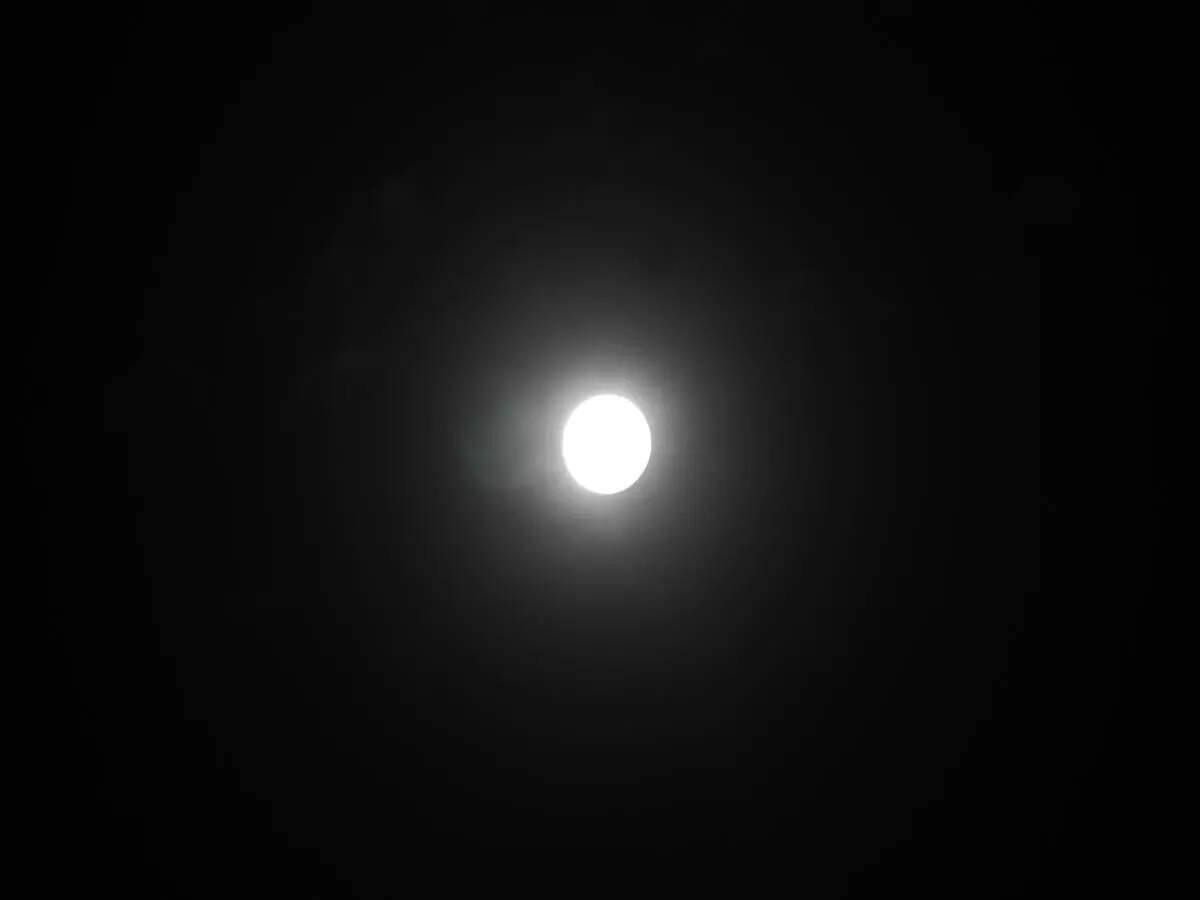 Halo Moon!