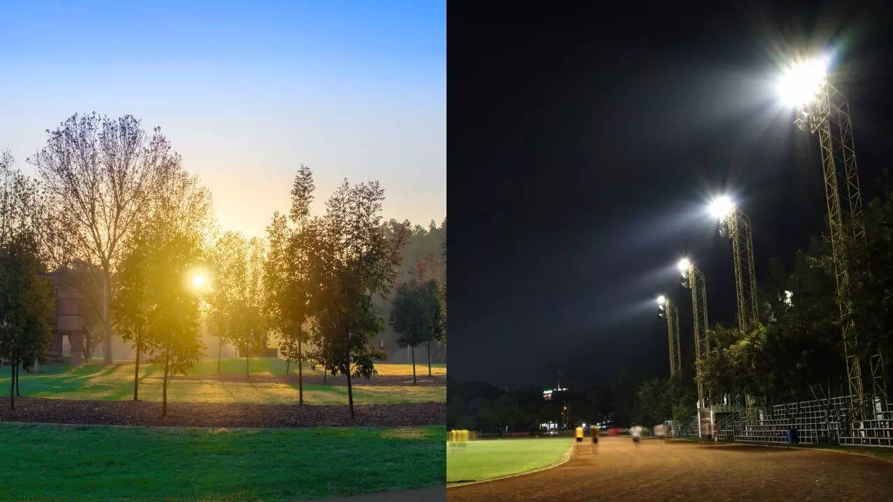 Exercising in the morning vs exercising in the evening