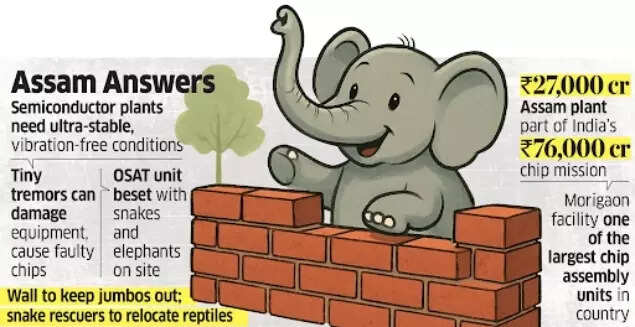 Elephants cause problem for Tata's chip-making unit