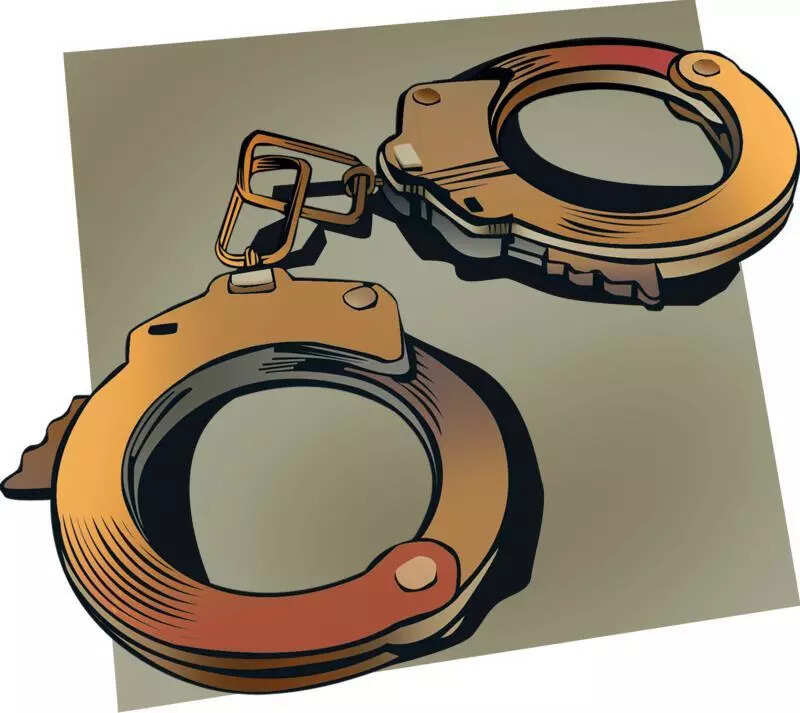 Vigilance arrests forest department junior assistant for taking bribe