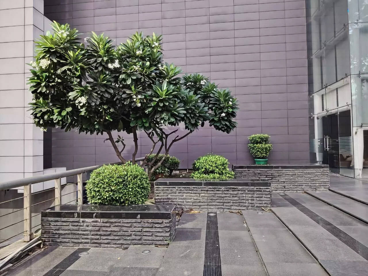 Camera sample 4