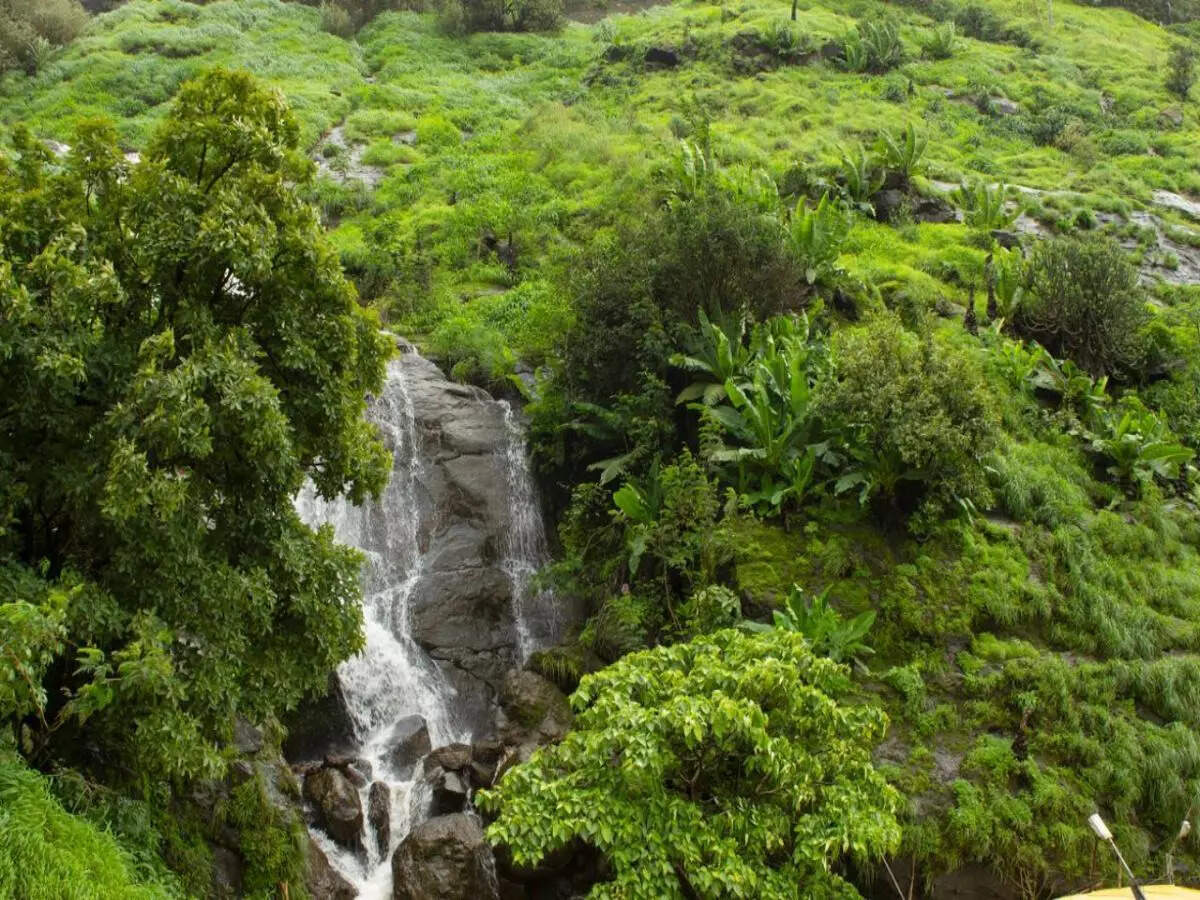 Waterfalls