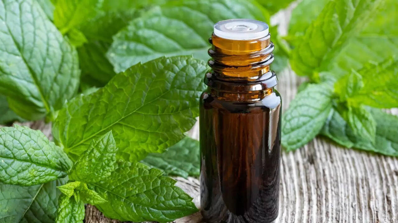 Spray peppermint oil as a natural repellent