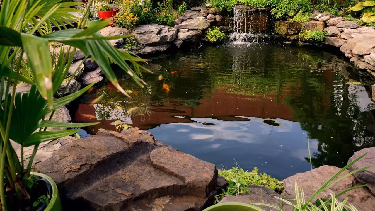 Water bodies